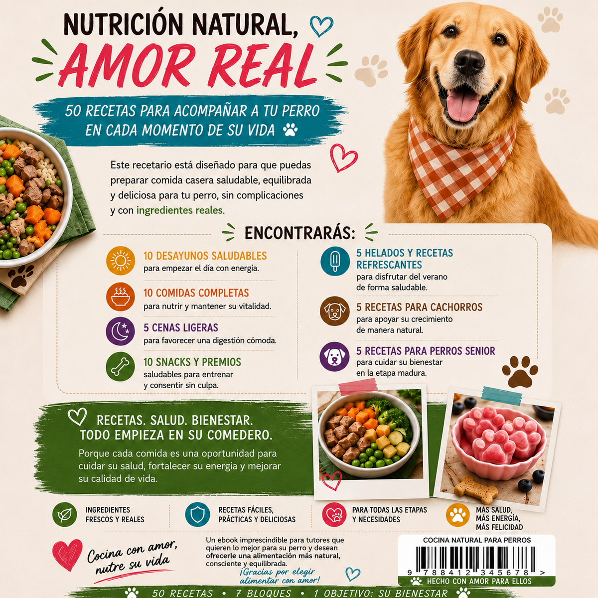 Recetas Saludables para Perros